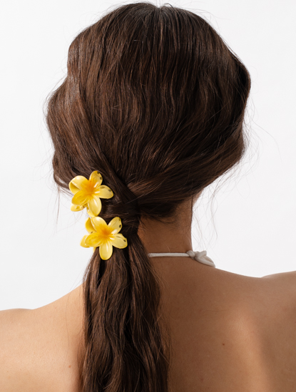 Набор крабов (2 шт)