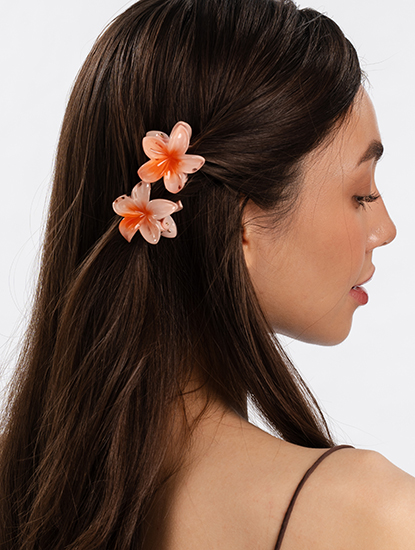 Набор крабов (2 шт)