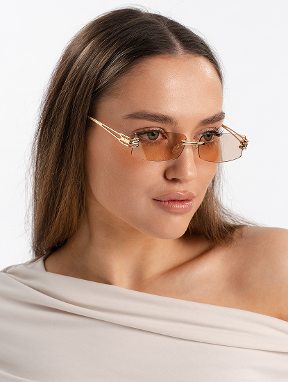 Очки с чехлом