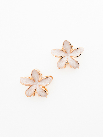 Набор крабов (2 шт)