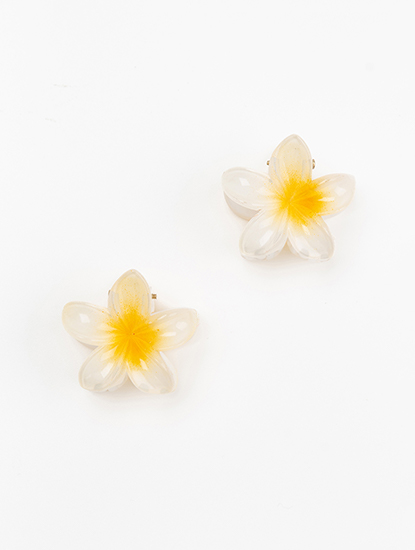 Набор крабов (2 шт)