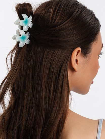 Набор крабов (2 шт)