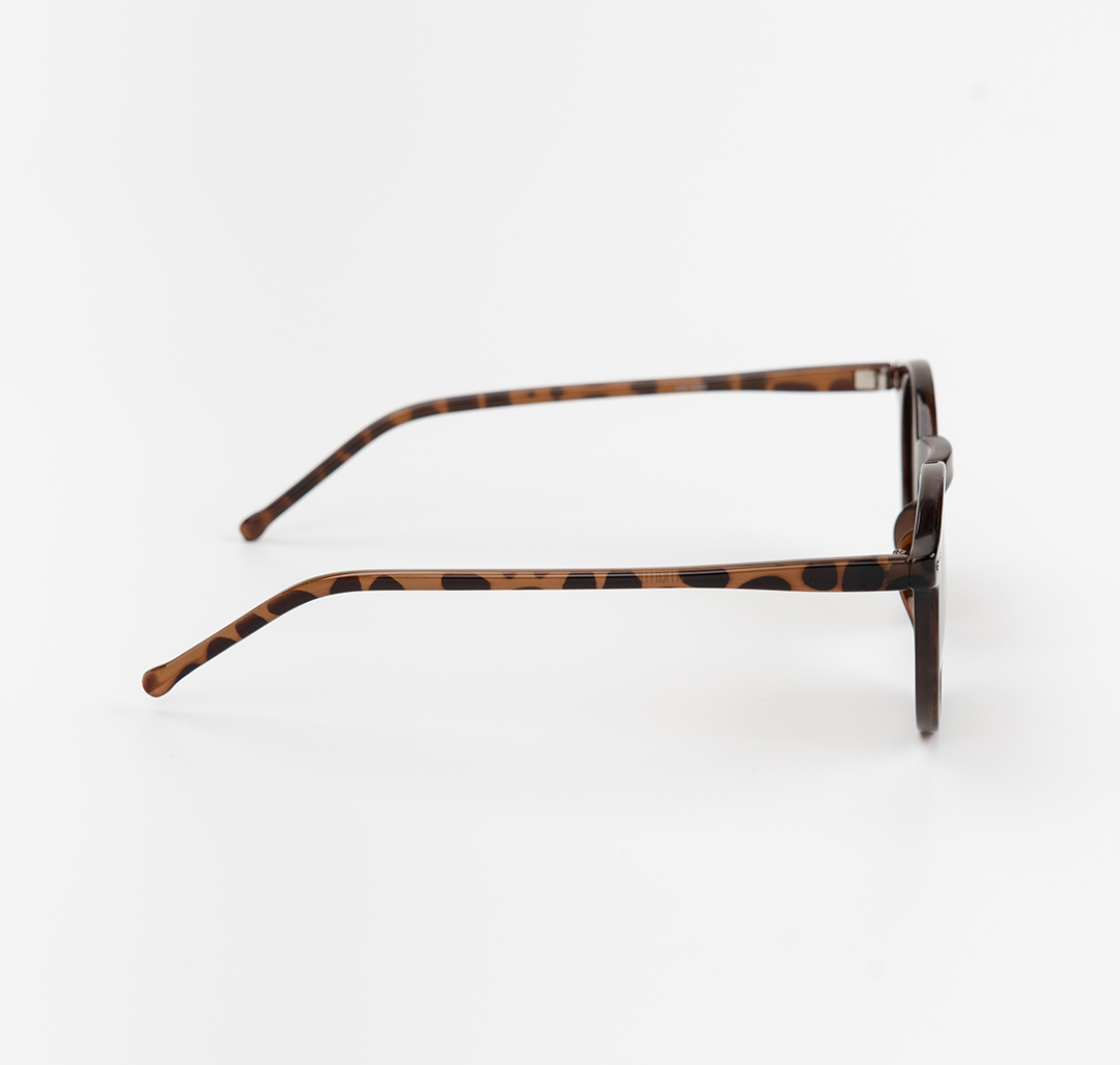 Очки с чехлом Мармалато, цвет коричневый-черный-серебро #5