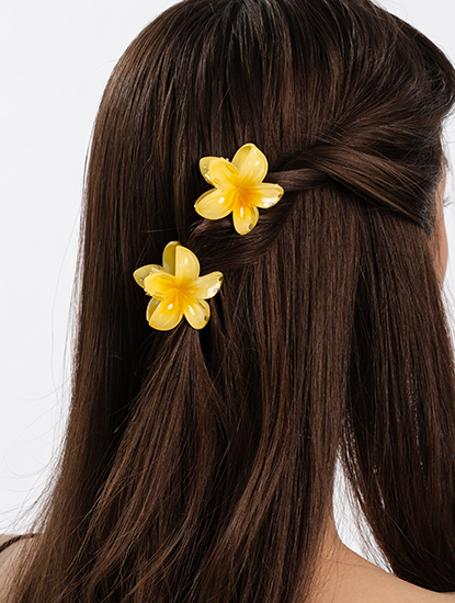 Набор крабов (2 шт)