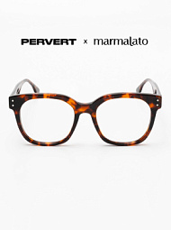 Очки с чехлом