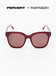 Очки с чехлом