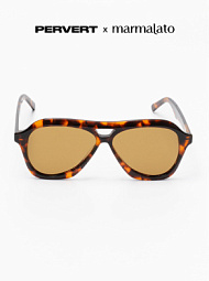 Очки с чехлом