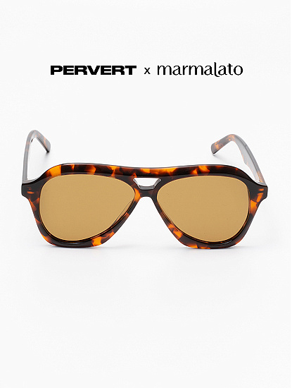 Очки с чехлом