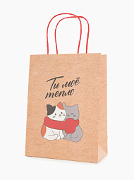 Подарочный пакет