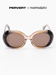 Очки с чехлом