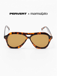 Очки с чехлом