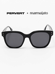 Очки с чехлом