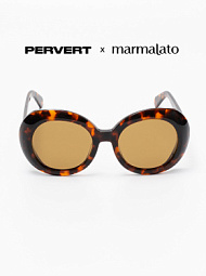 Очки с чехлом