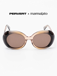 Очки с чехлом