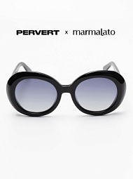 Очки с чехлом