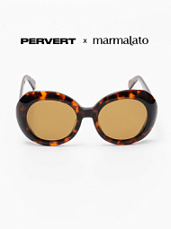 Очки с чехлом