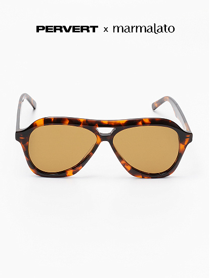 Очки с чехлом