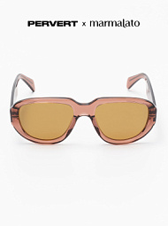 Очки с чехлом