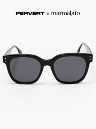 Очки с чехлом